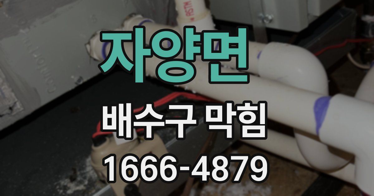 자양면 배수구 막힘