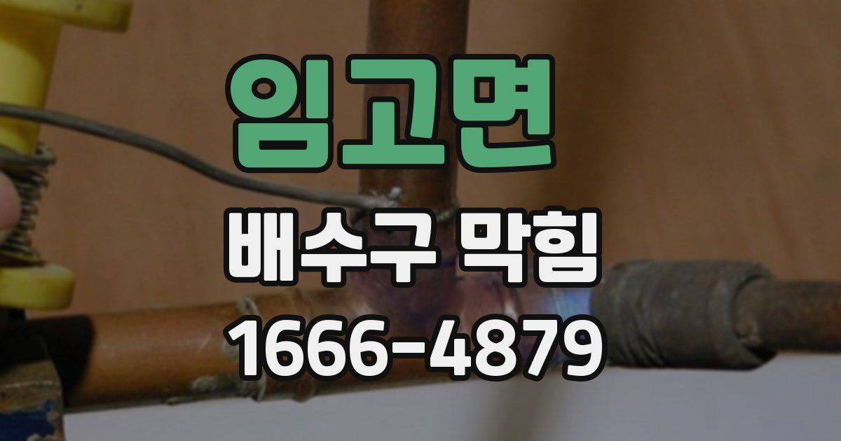 임고면 배수구 막힘