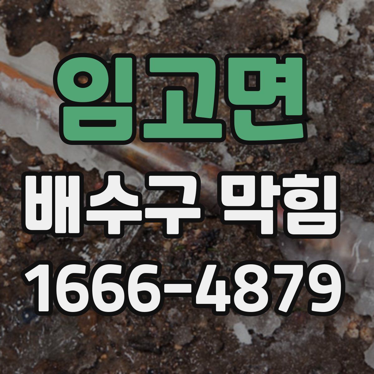 임고면 배수구 막힘
