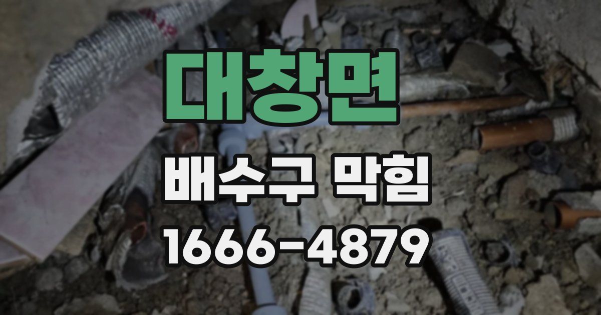 대창면 배수구 막힘