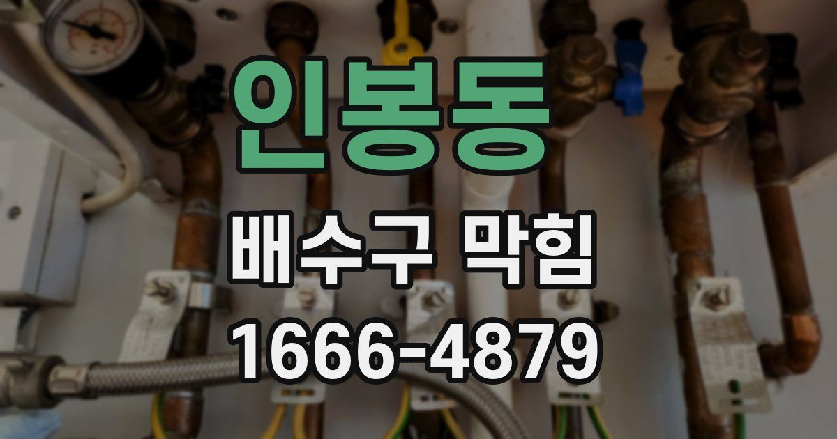 인봉동 배수구 막힘