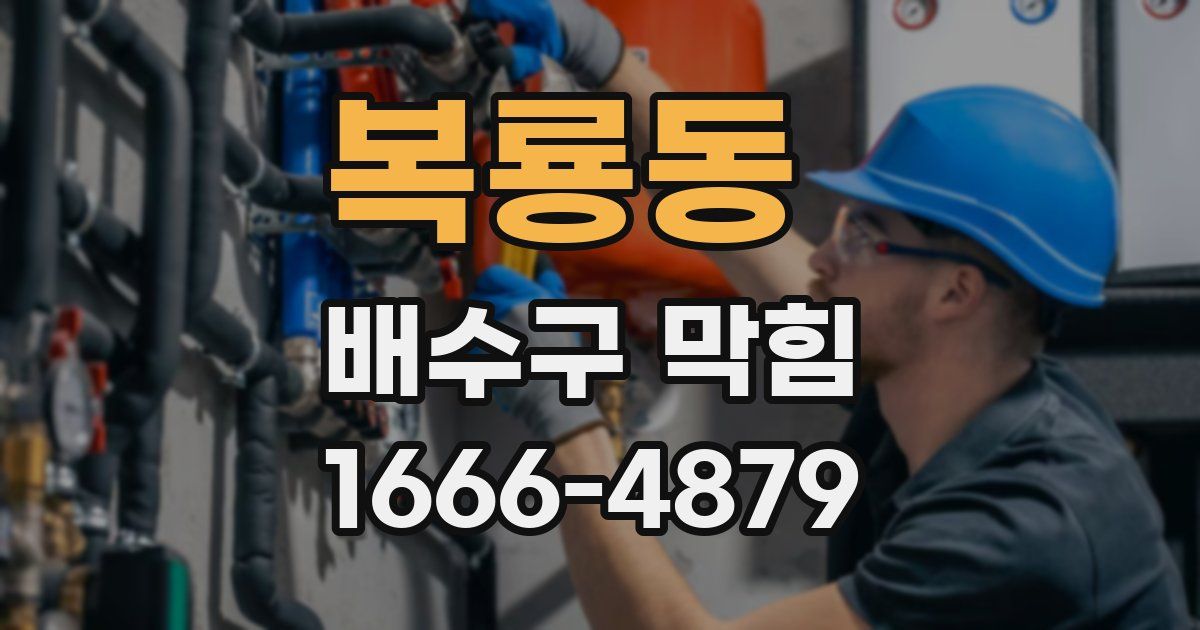 복룡동 배수구 막힘
