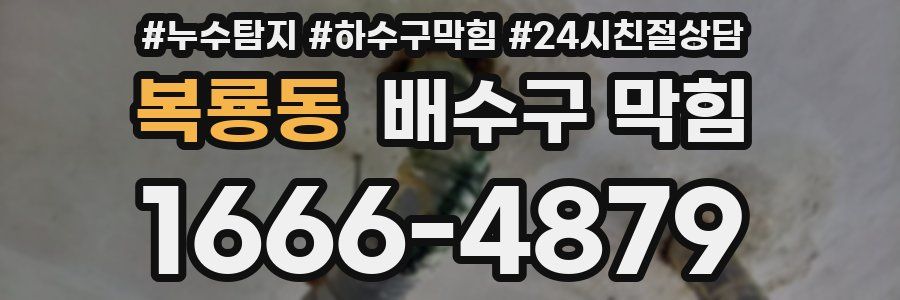 복룡동 배수구 막힘