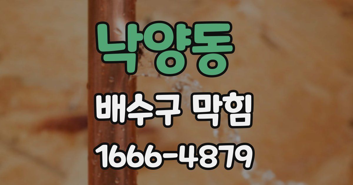 낙양동 배수구 막힘