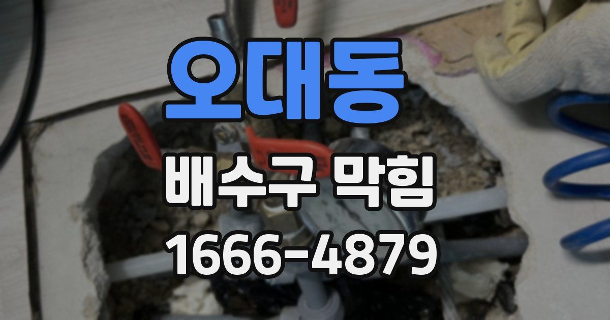 오대동 배수구 막힘