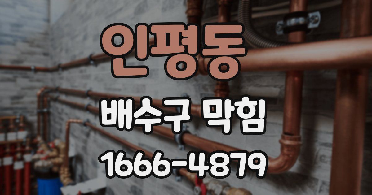 인평동 배수구 막힘