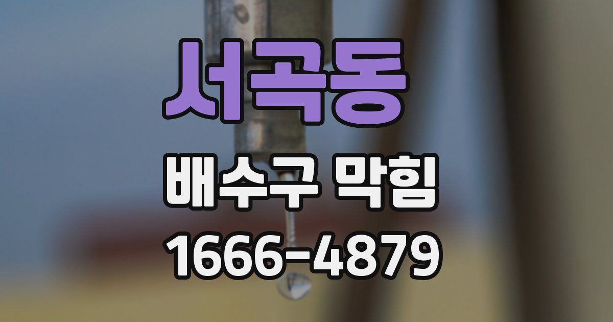 서곡동 배수구 막힘