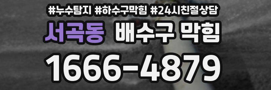 서곡동 배수구 막힘