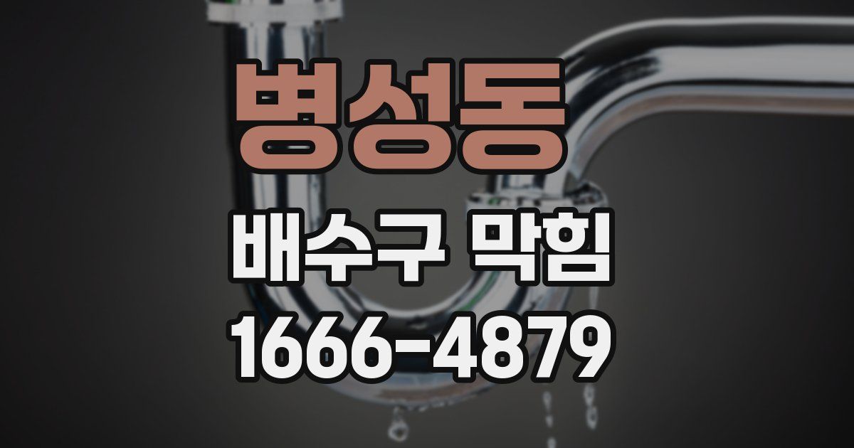 병성동 배수구 막힘