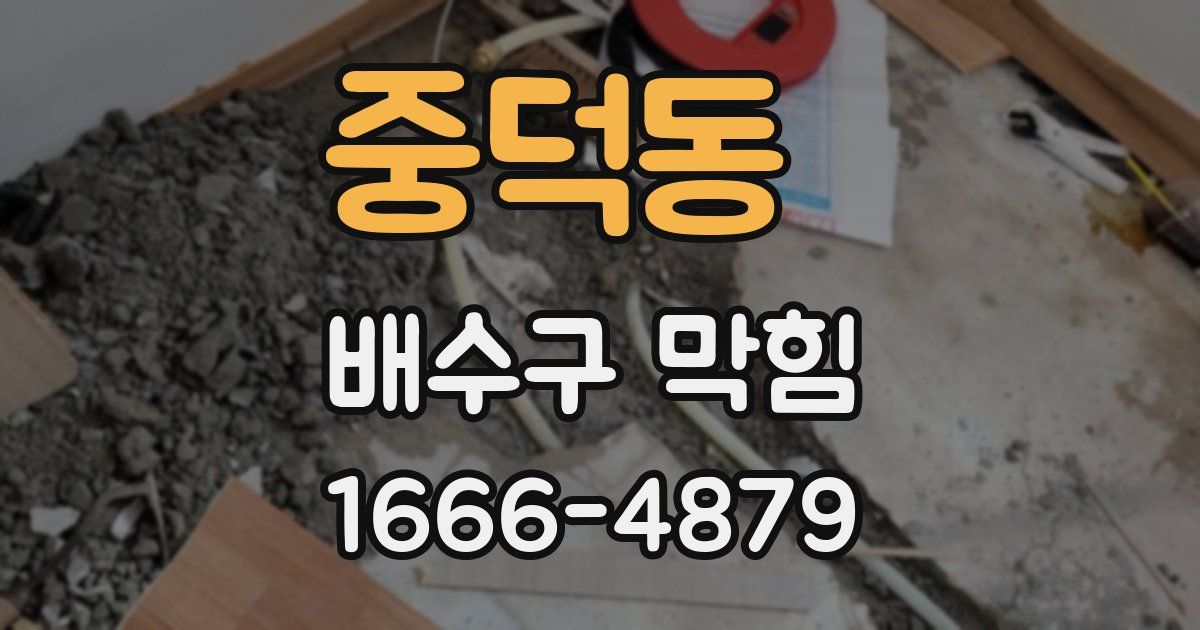중덕동 배수구 막힘