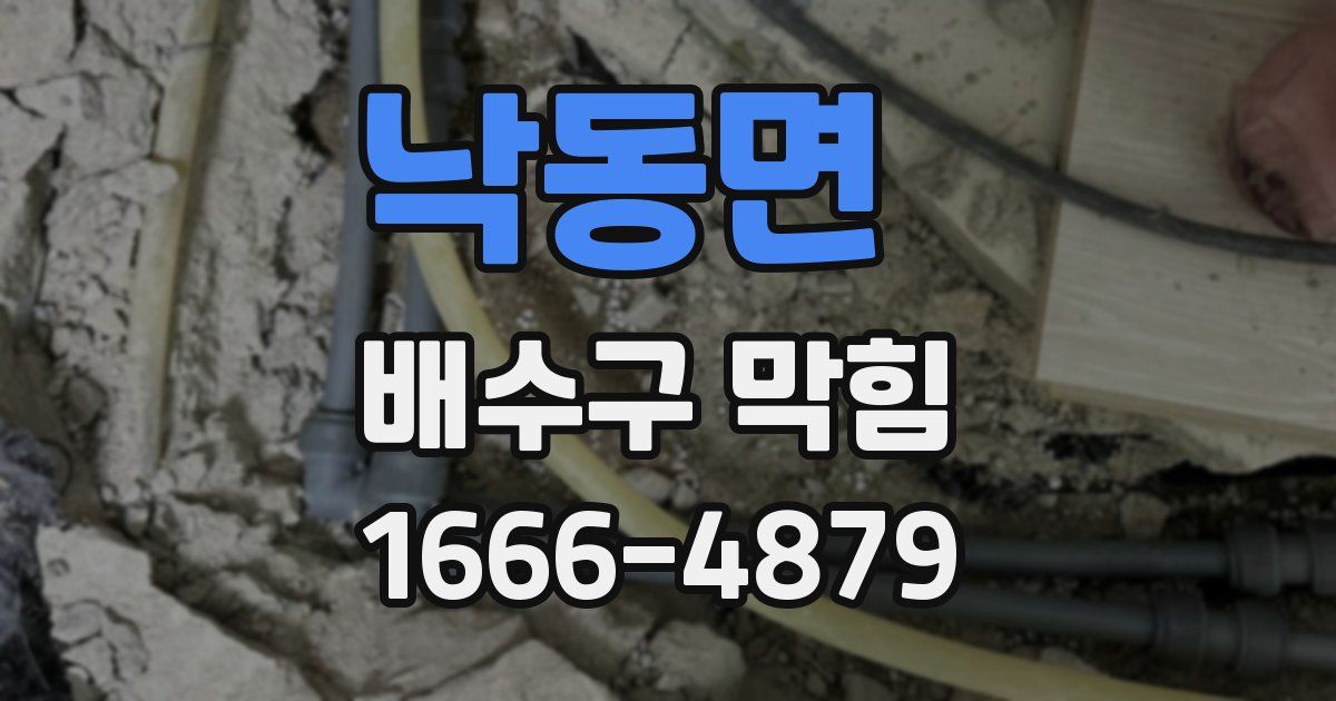 낙동면 배수구 막힘