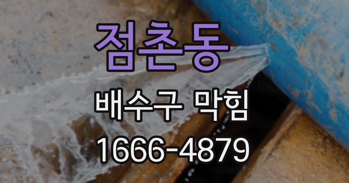 점촌동 배수구 막힘