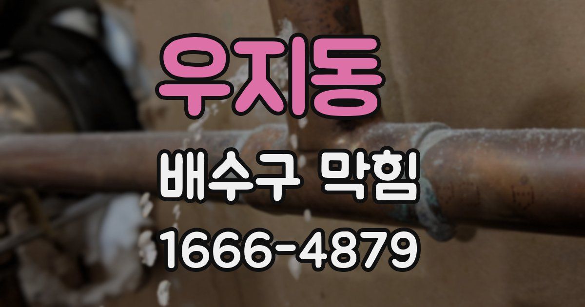 우지동 배수구 막힘