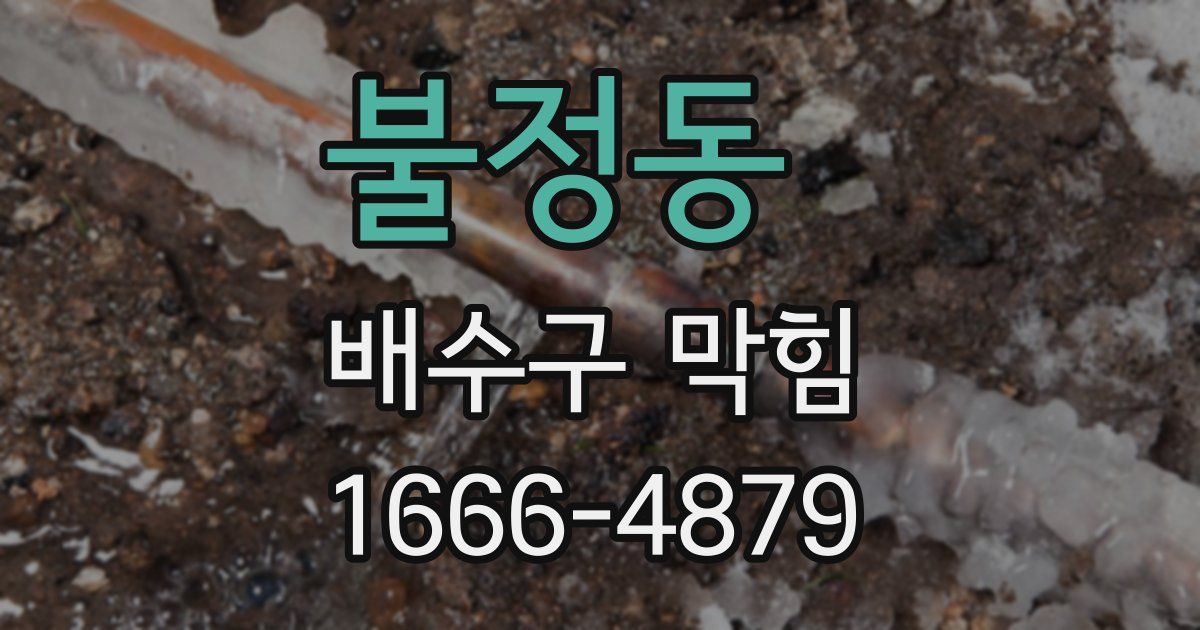 불정동 배수구 막힘