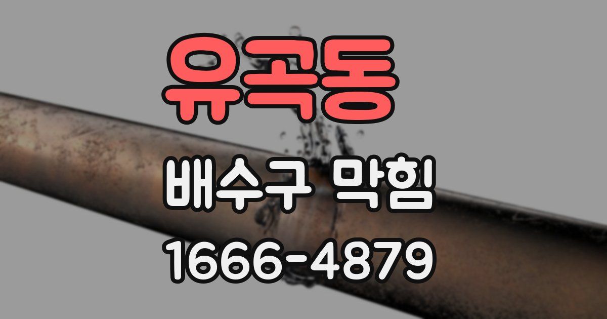 유곡동 배수구 막힘