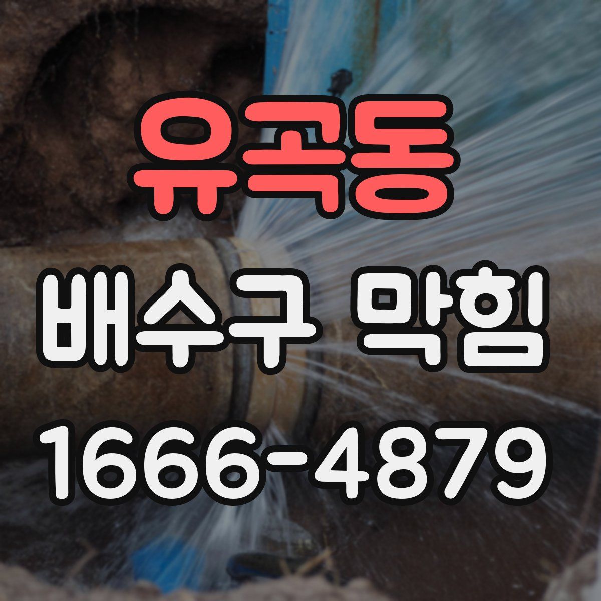 유곡동 배수구 막힘
