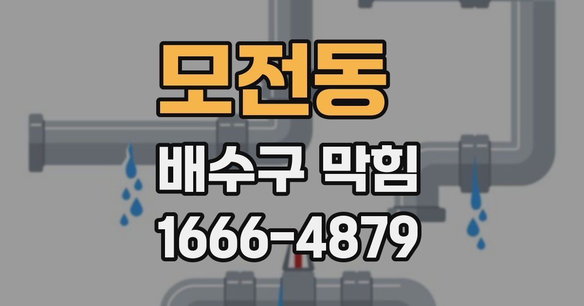 모전동 배수구 막힘