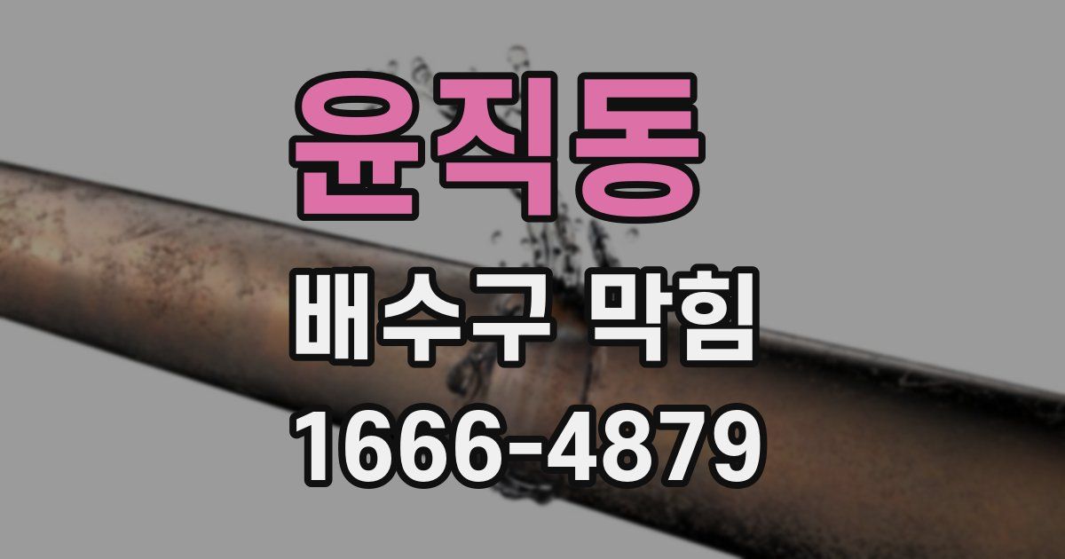 윤직동 배수구 막힘