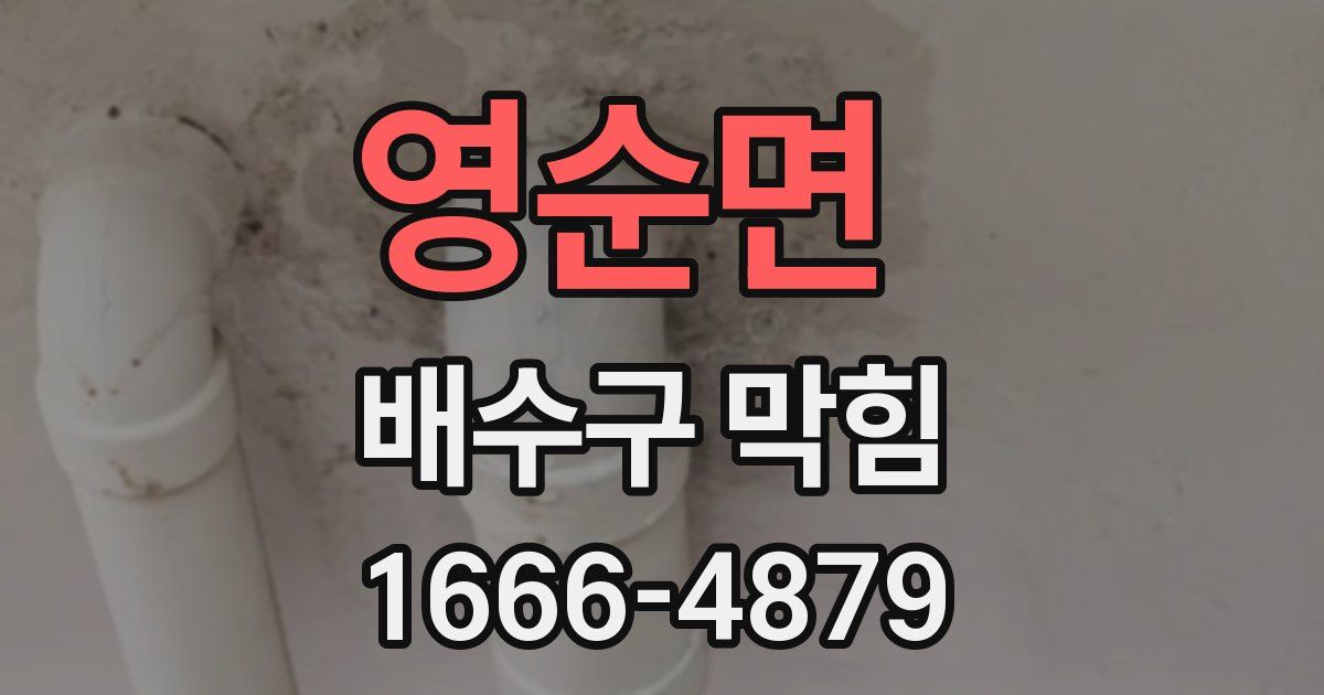 영순면 배수구 막힘