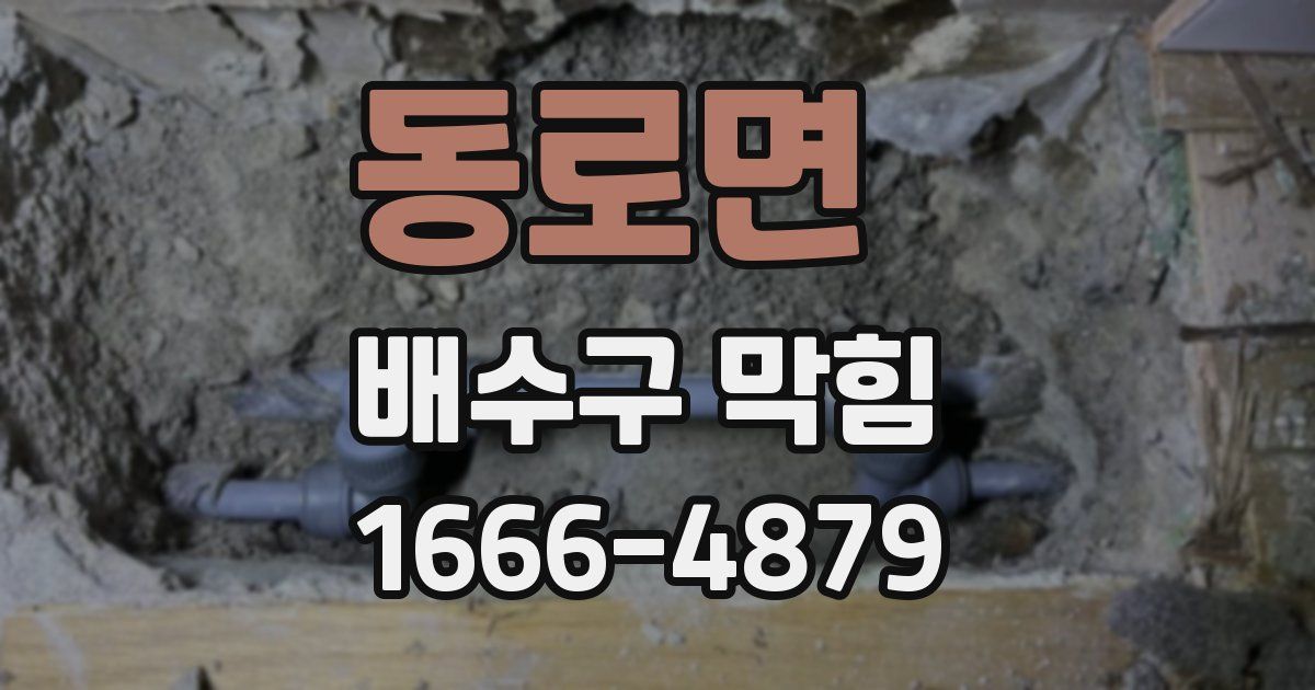 동로면 배수구 막힘
