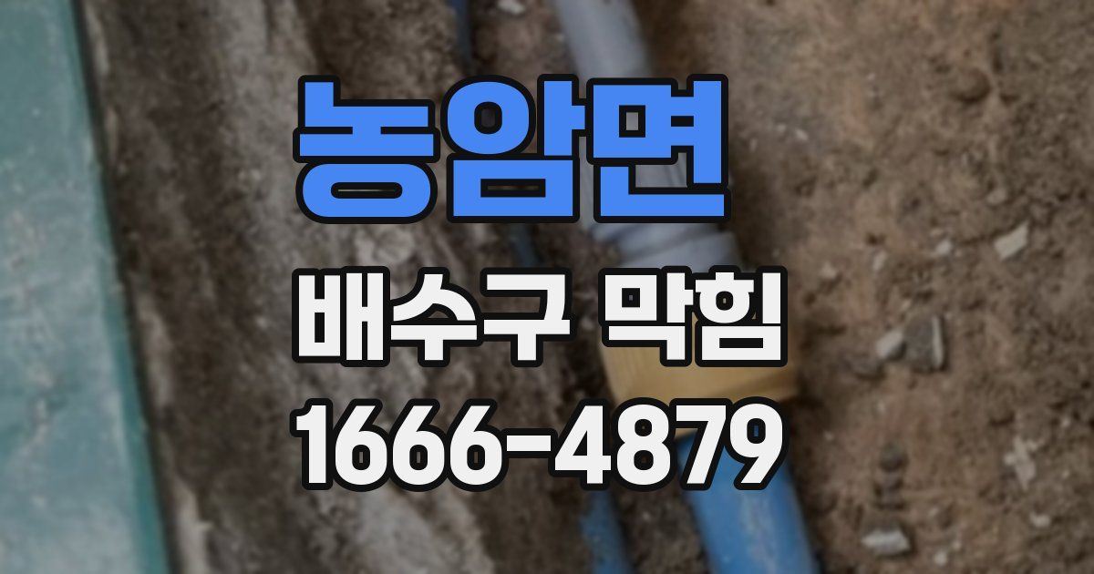 농암면 배수구 막힘