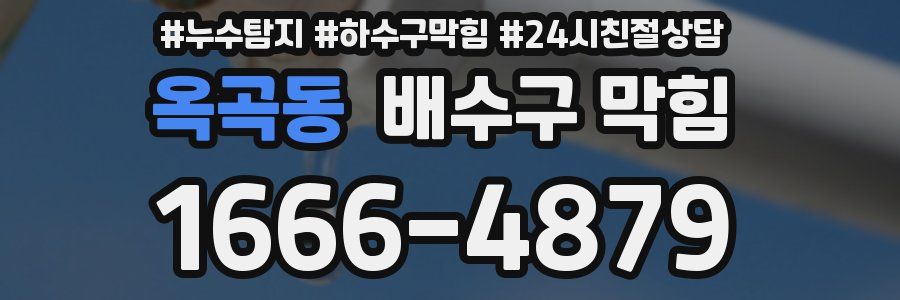 옥곡동 배수구 막힘