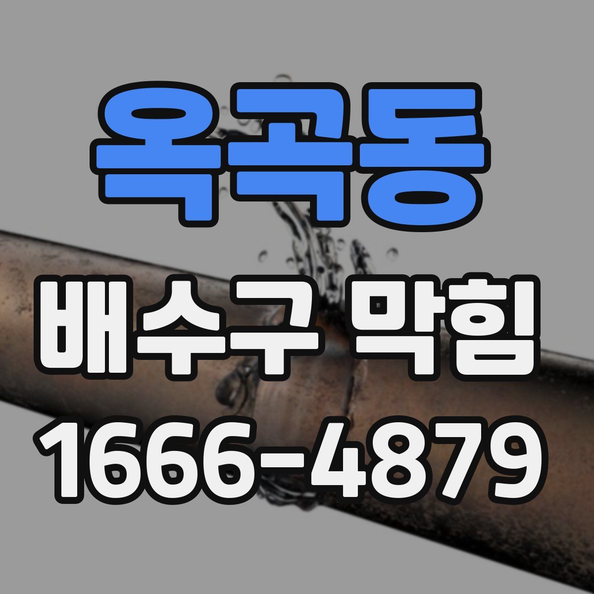 옥곡동 배수구 막힘