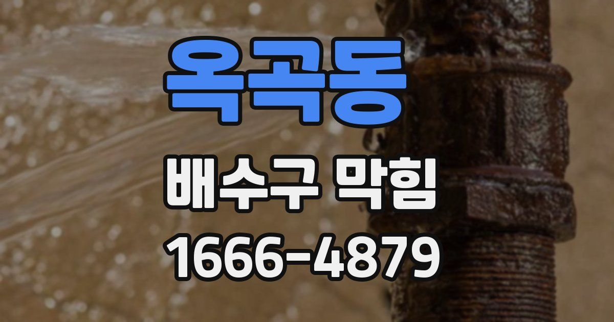 옥곡동 배수구 막힘
