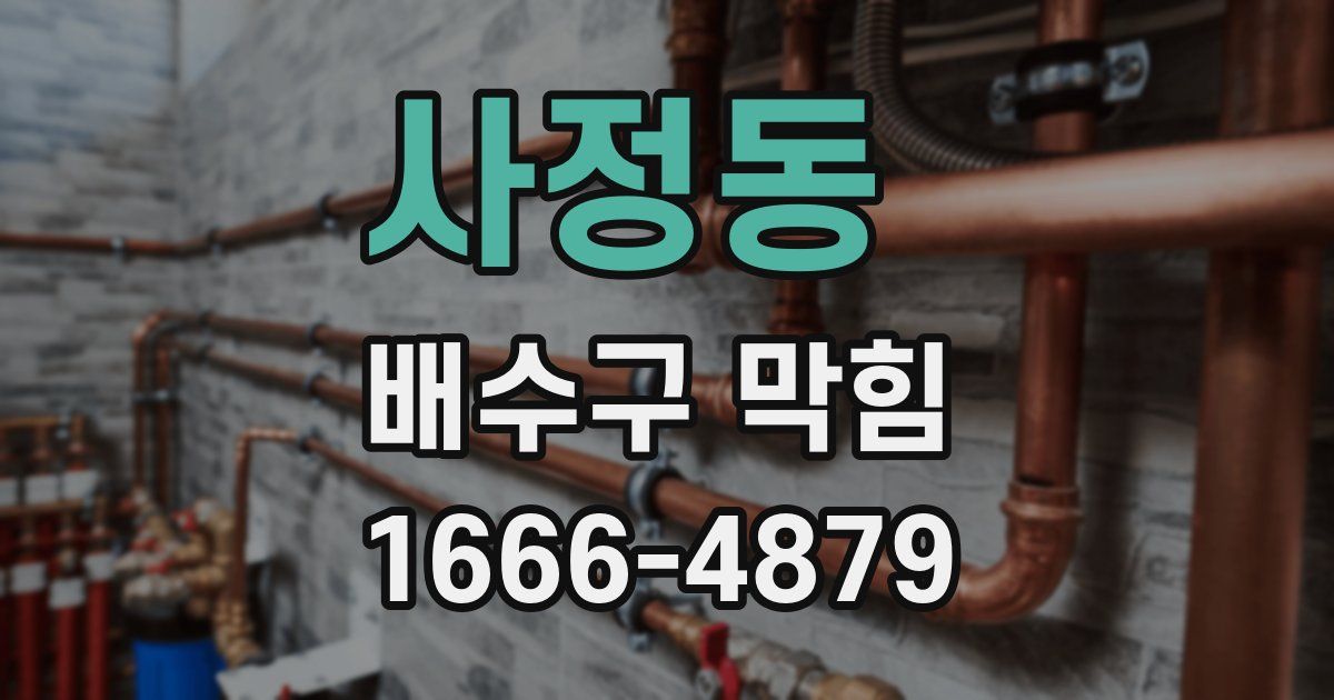 사정동 배수구 막힘