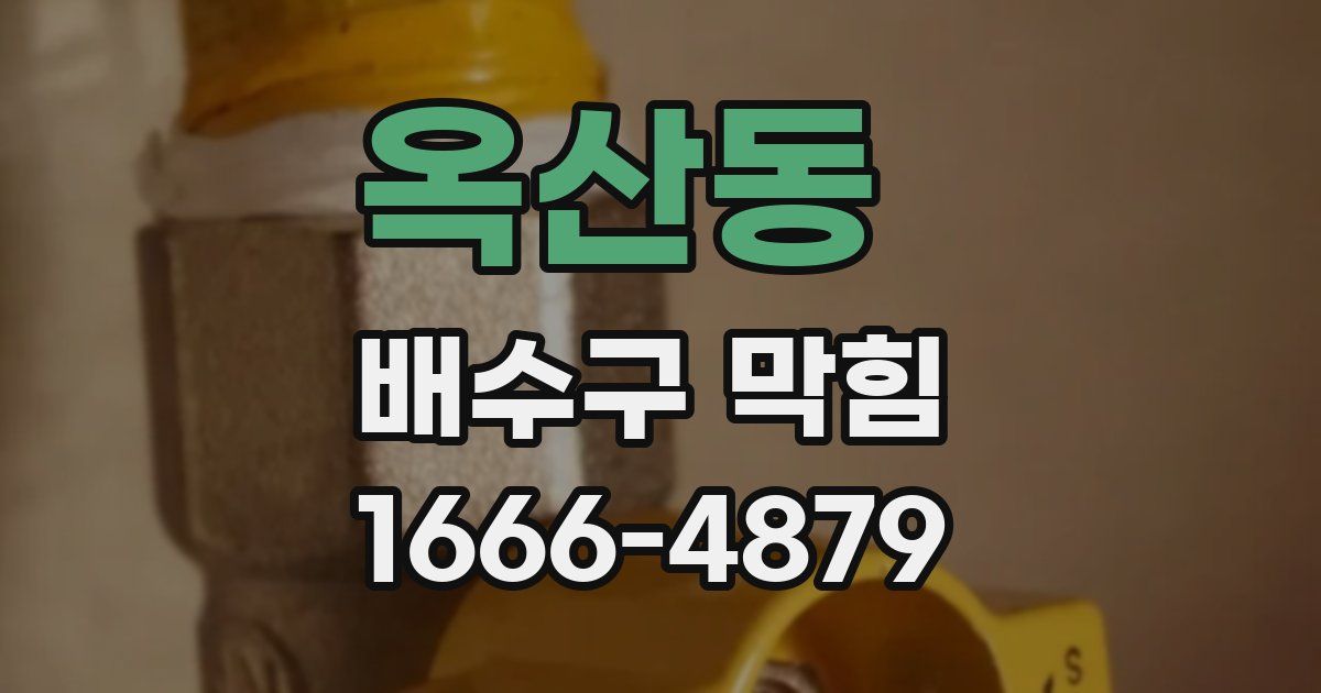 옥산동 배수구 막힘