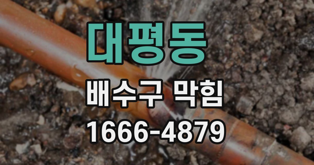 대평동 배수구 막힘