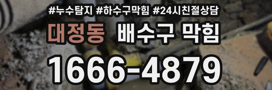 대정동 배수구 막힘