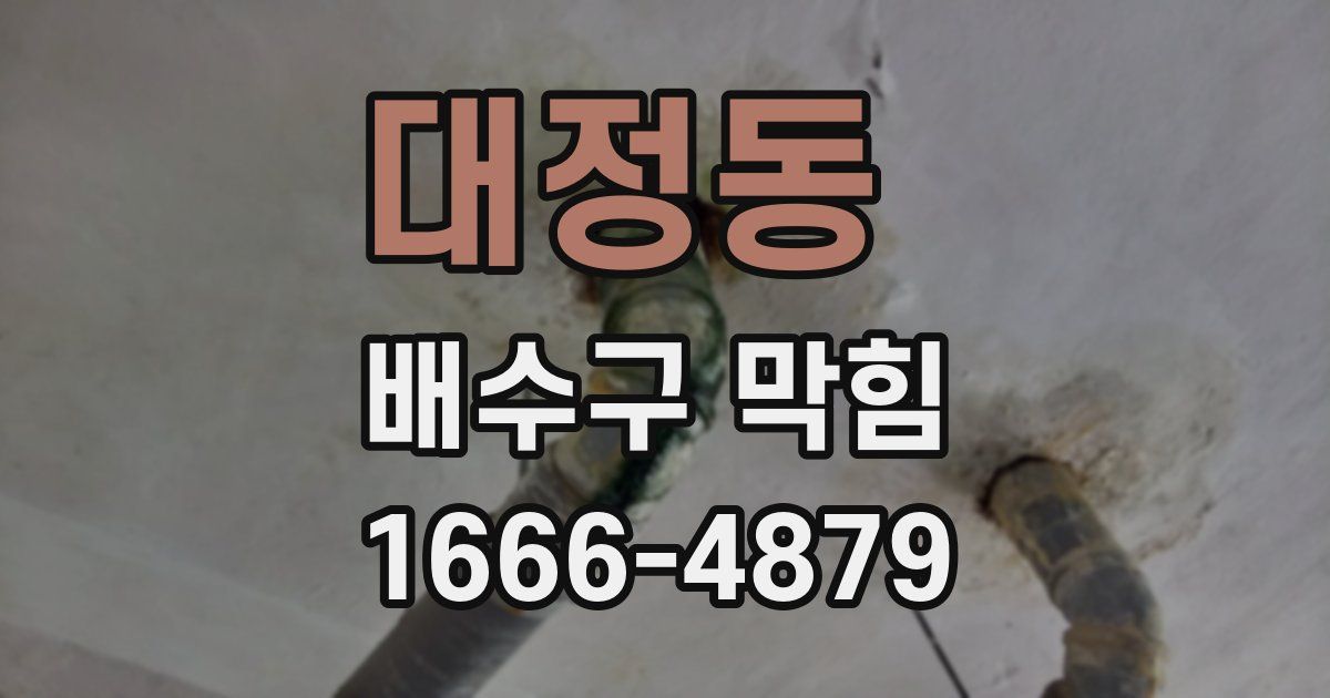 대정동 배수구 막힘