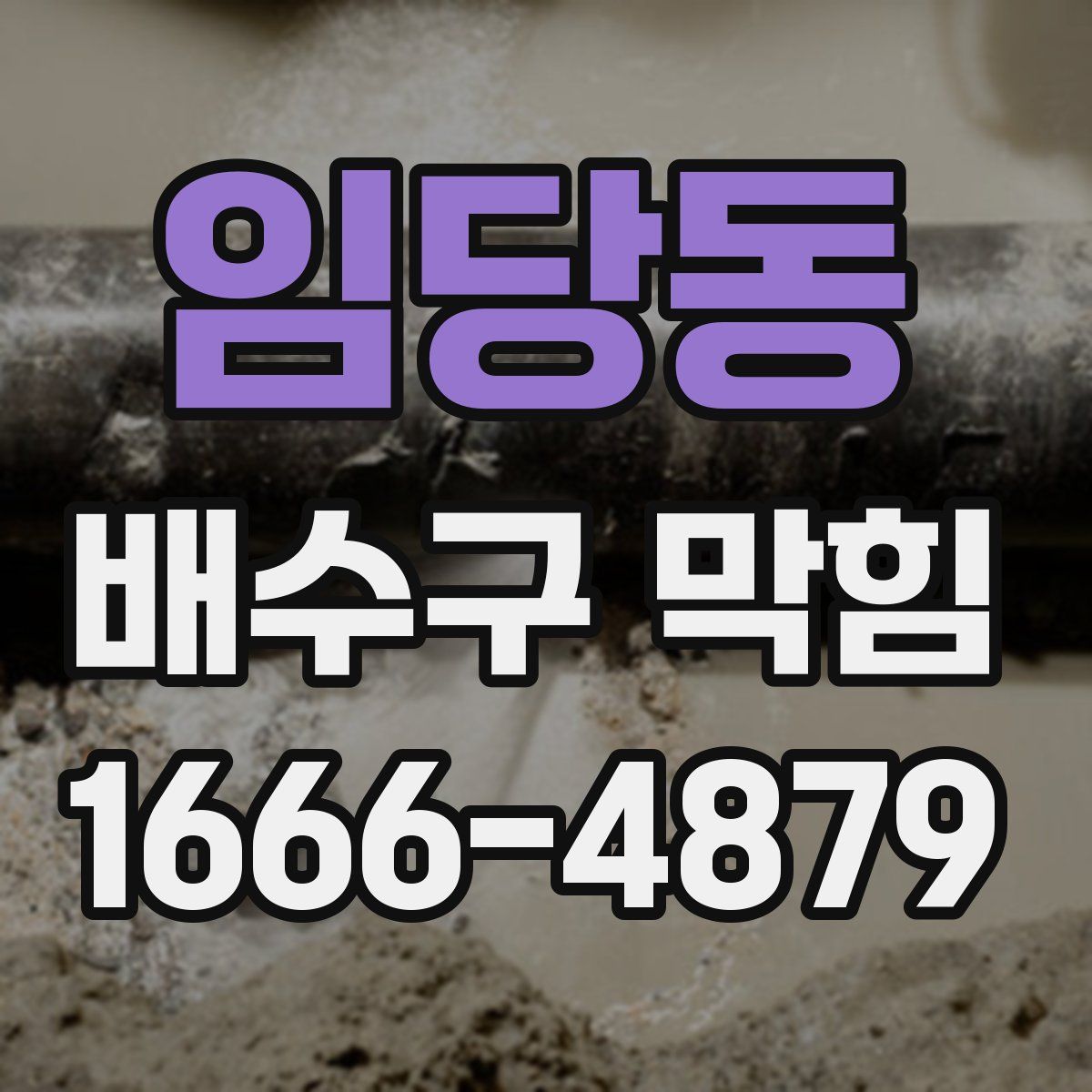 임당동 배수구 막힘