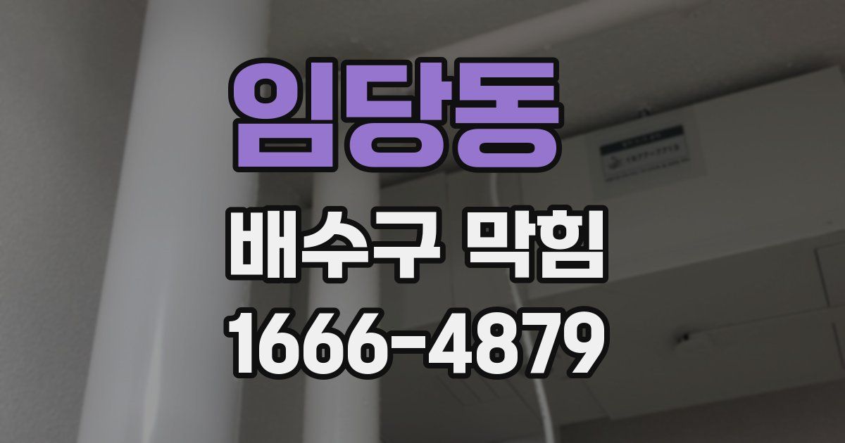 임당동 배수구 막힘