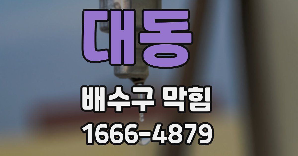 대동 배수구 막힘