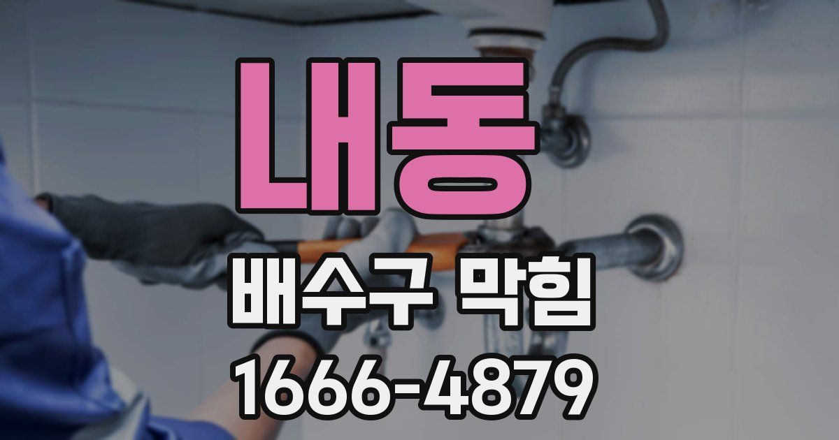 내동 배수구 막힘