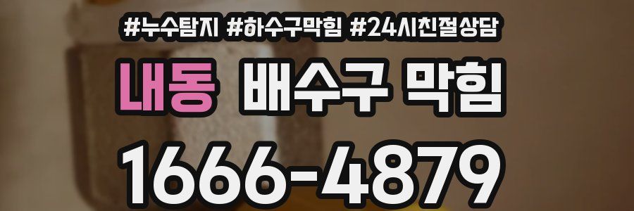 내동 배수구 막힘