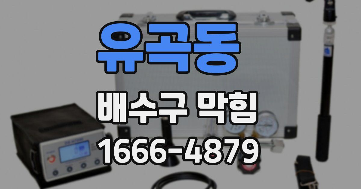 유곡동 배수구 막힘