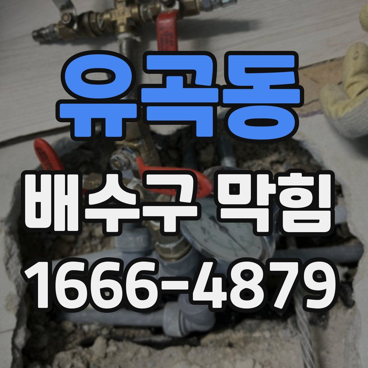 유곡동 배수구 막힘