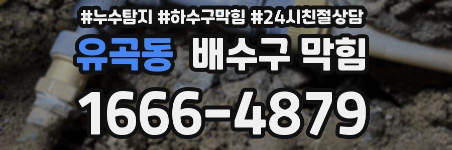 유곡동 배수구 막힘