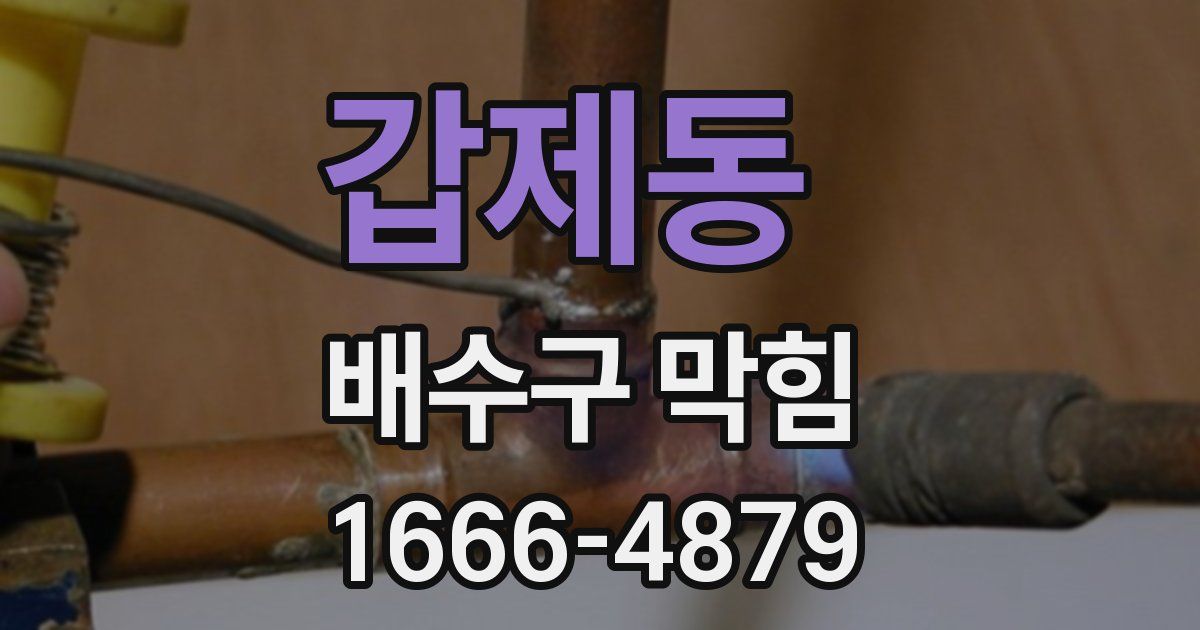갑제동 배수구 막힘