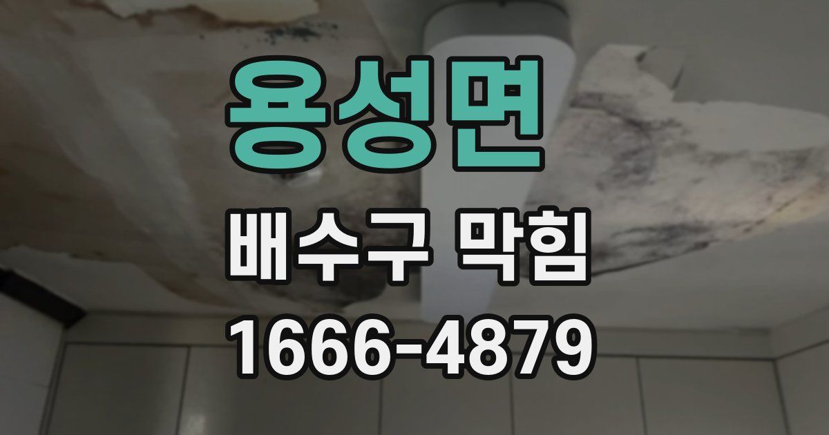 용성면 배수구 막힘