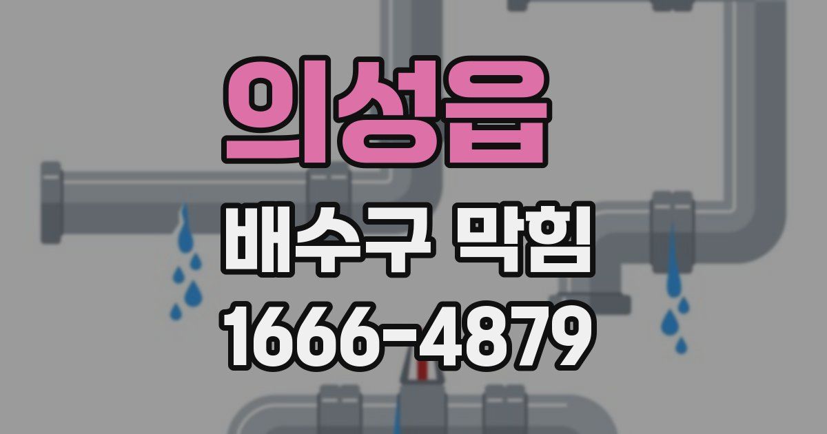 의성읍 배수구 막힘