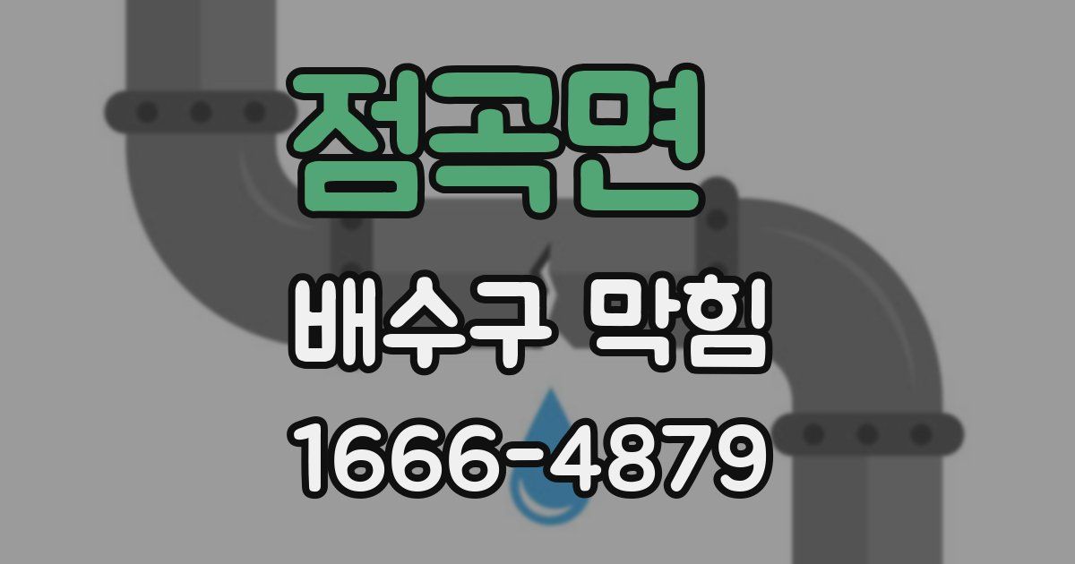 점곡면 배수구 막힘