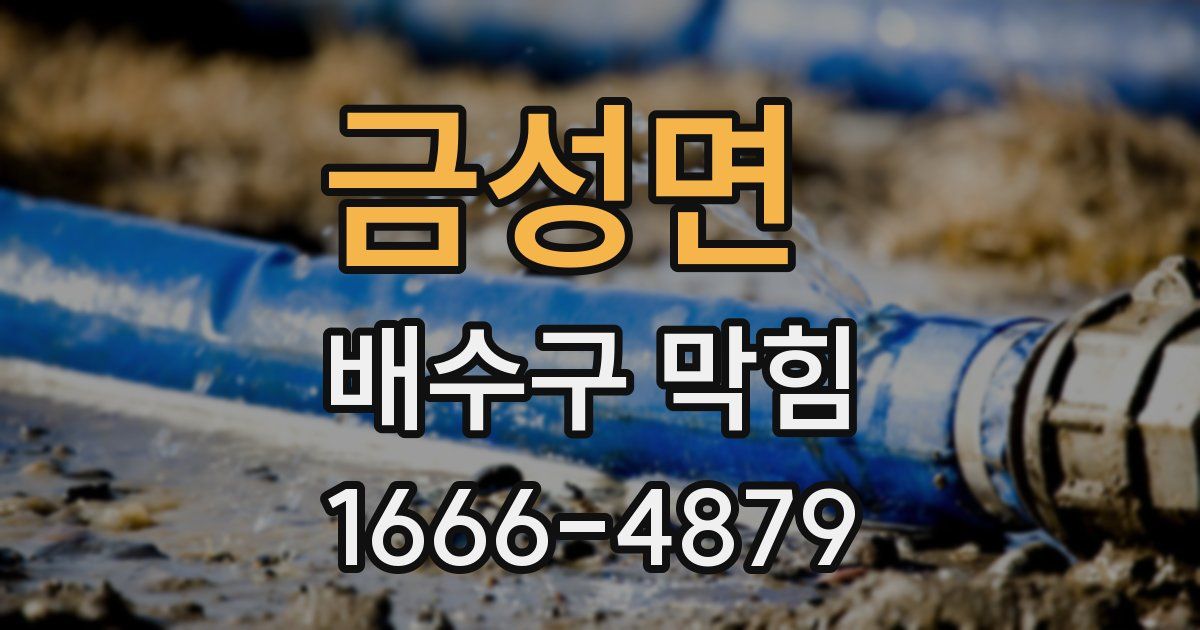 금성면 배수구 막힘