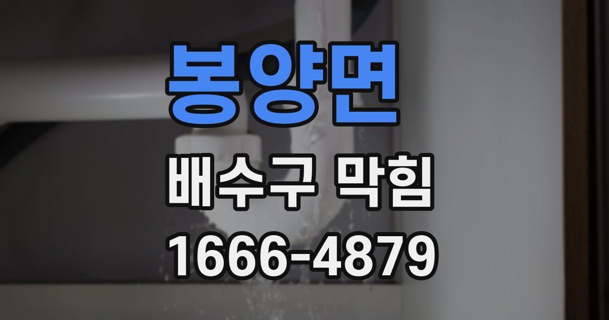 봉양면 배수구 막힘