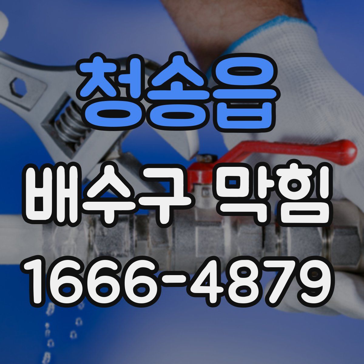 청송읍 배수구 막힘
