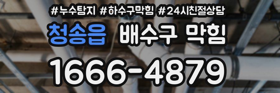 청송읍 배수구 막힘