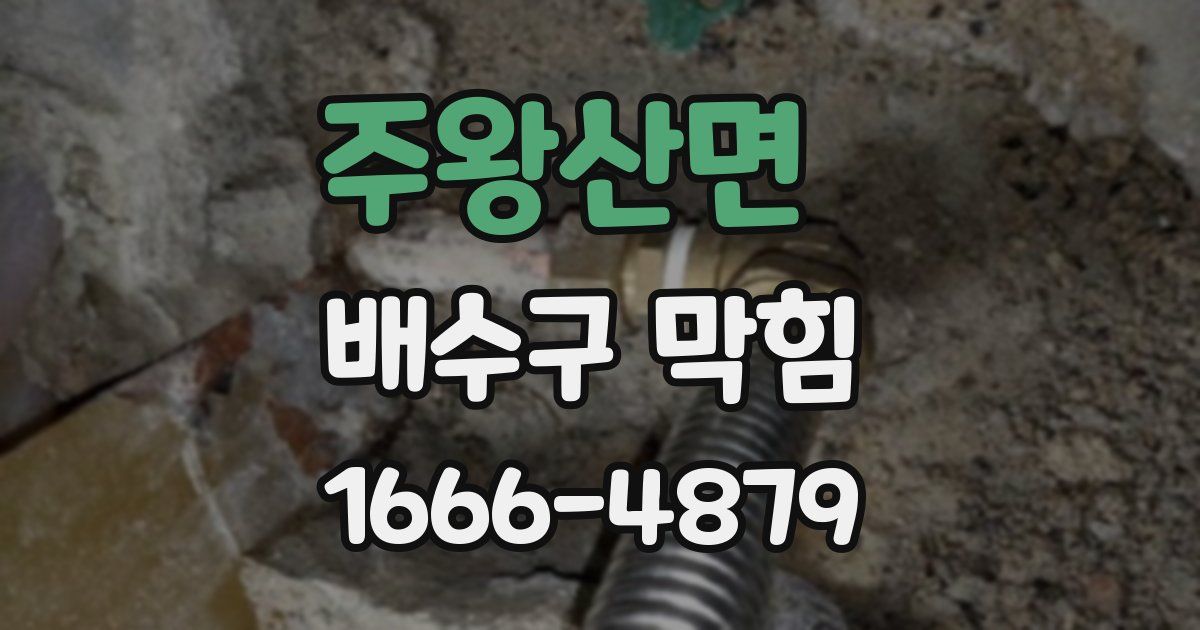 주왕산면 배수구 막힘